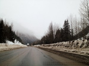 Winter on the Roger's Pass Coming through the Roger's Pass