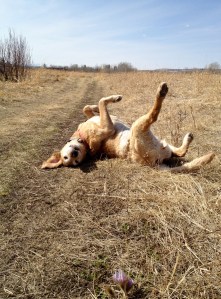 Ellie Makes Me Smile Ellie Makes Me Smile