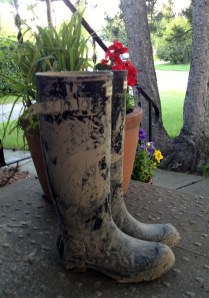 At the end of the day