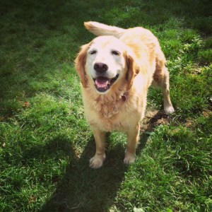 I'm so happy to see you!