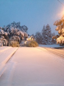 The view down our street