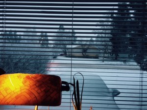 The View Through My Window This Morning