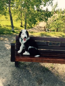 Beaumont at River Park