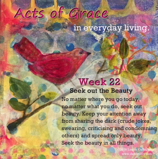 acts of grace week 22 Seek copy
