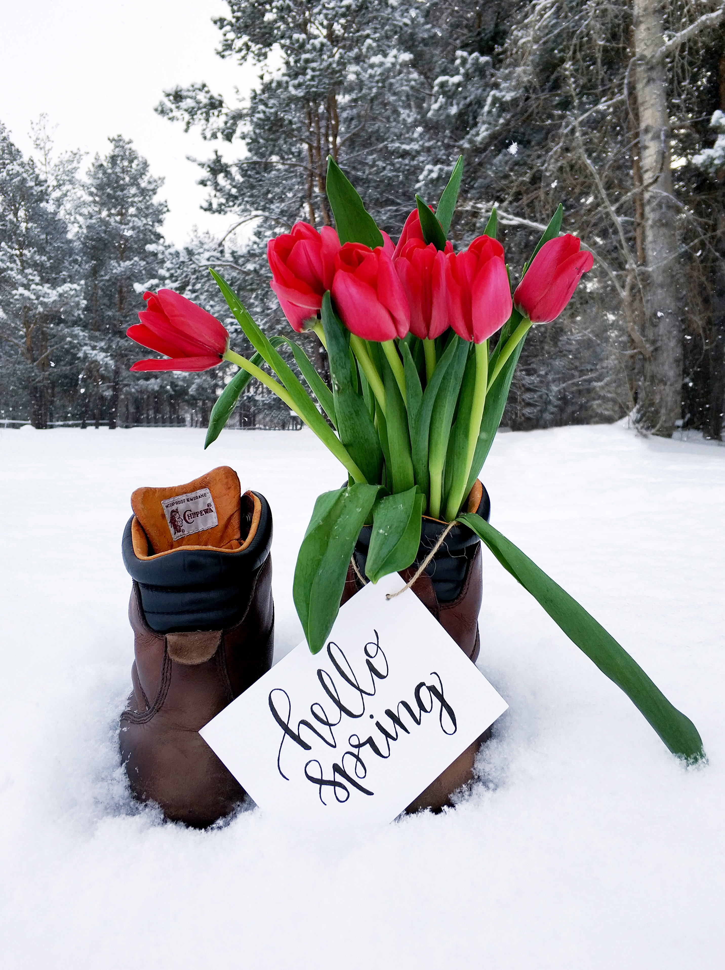 Let The Spring Come In Spring has come. Let’s dance. | Dare Boldly